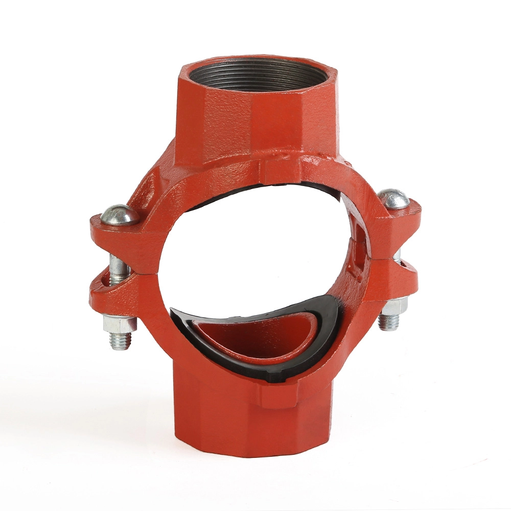 Case Study about Grooved couplings